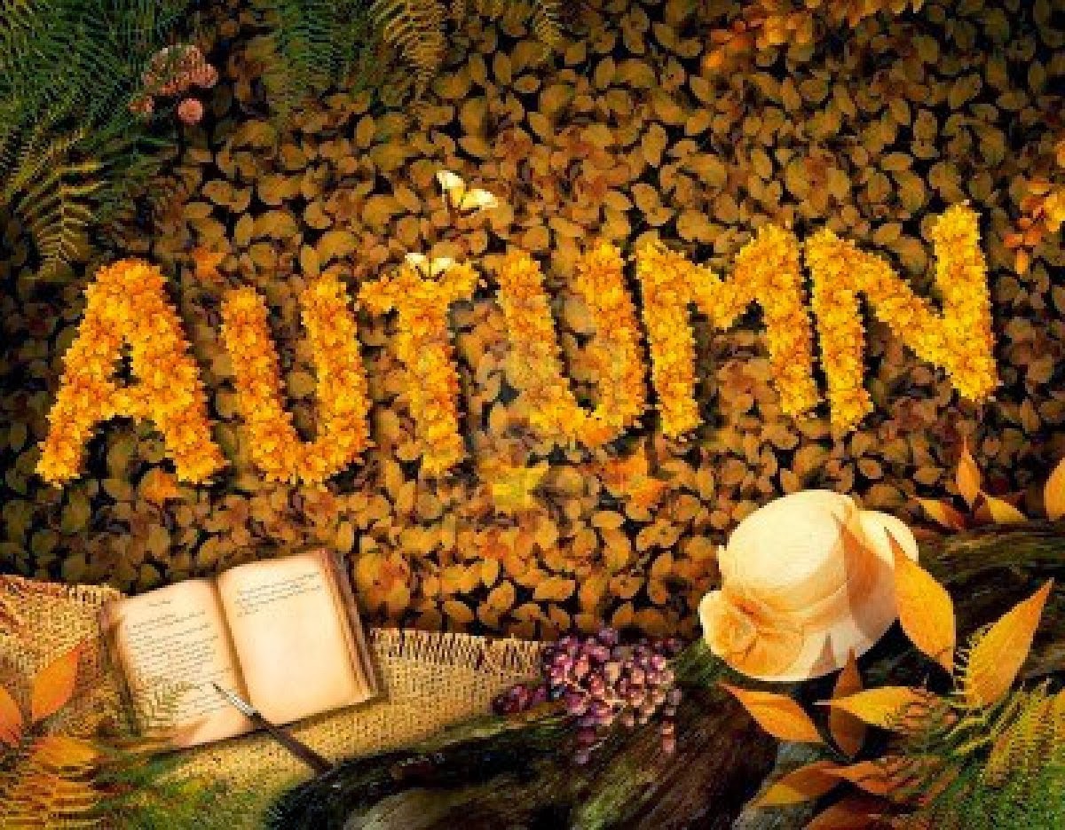 14982538-autumn-season-concept-design-fall-background-with-text-in-beautiful-yellow-forest-vintage-design-wit.jpg 14982538-autumn-season-concept-design-fall-background-with-text-in-beautiful-yellow-forest-vintage-design-wit.jpg